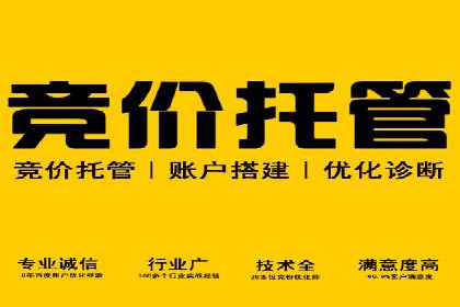 案例解读：SEM广告如何助力品牌崛起